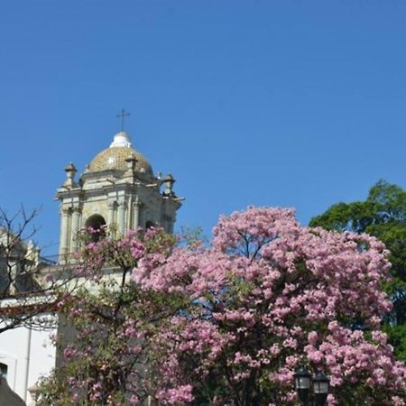 M1010 - The Best Place To Enjoy Oaxaca מראה חיצוני תמונה