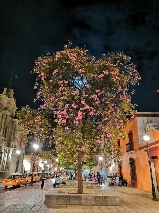 M1010 - The Best Place To Enjoy Oaxaca מראה חיצוני תמונה