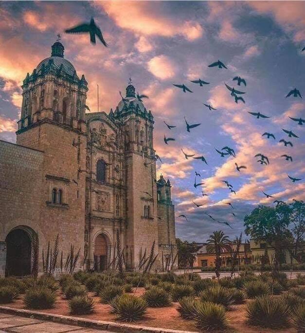 M1010 - The Best Place To Enjoy Oaxaca מראה חיצוני תמונה