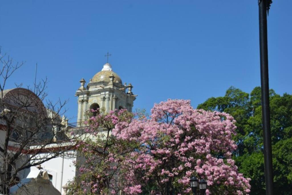 M1010 - The Best Place To Enjoy Oaxaca מראה חיצוני תמונה