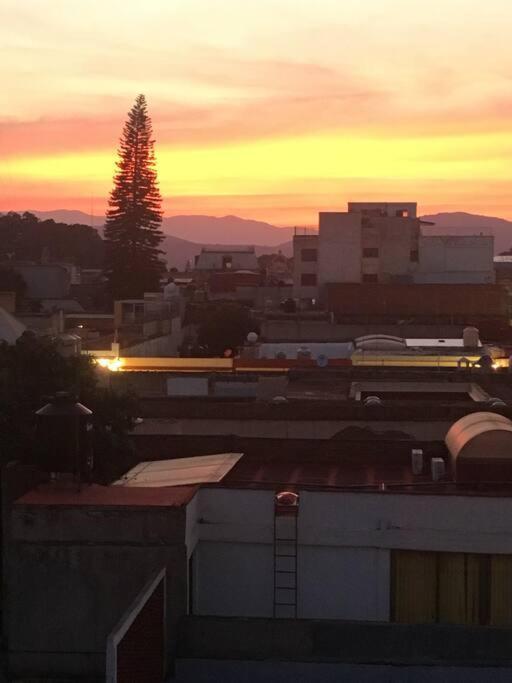 M1010 - The Best Place To Enjoy Oaxaca מראה חיצוני תמונה